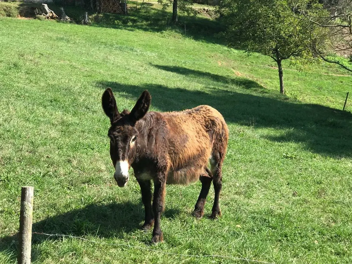 Сasa de vacaciones Casa Can Boix La Vall de Bianya