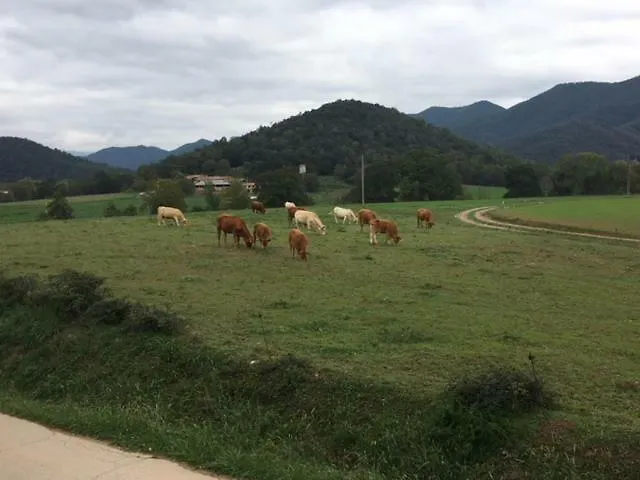 Casa Can Boix La Vall de Bianya 0*,  España
