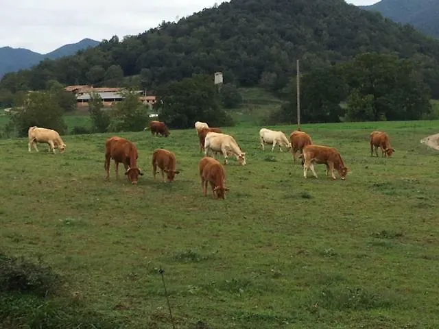 Casa Can Boix La Vall de Bianya Сasa de vacaciones