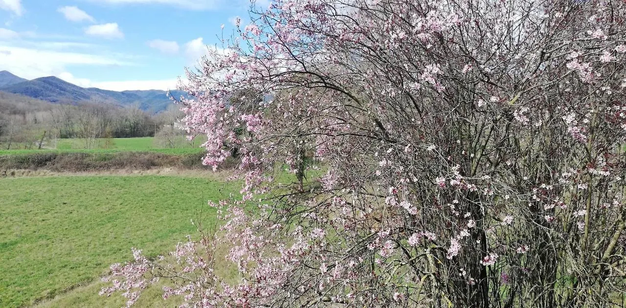 Casa Can Boix La Vall de Bianya Holiday home
